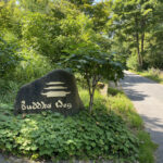 BuddhasWeg Yogaretreat