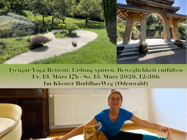 2026 Iyengar Yoga Retreat: Erdung spüren. Beweglichkeit entfalten.