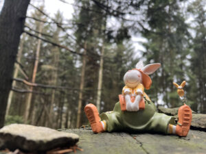 Retreat Hase beim Wandern