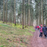 Kleine Wanderung im Odenwald