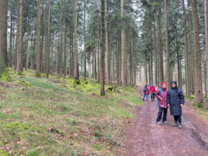 Kleine Wanderung im Odenwald