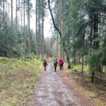 Wandern im Odenwald