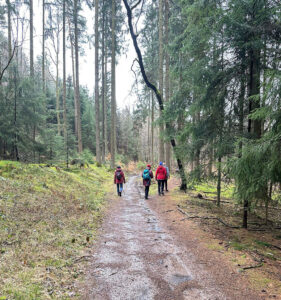 Wandern im Odenwald